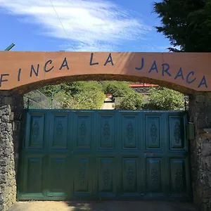 Séjour à la ferme Finca La Jaraca, Tacoronte